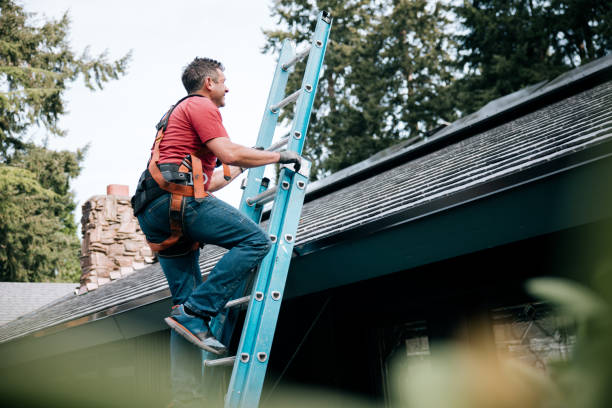 Best Skylight Installation and Repair  in Agua Dulce, CA